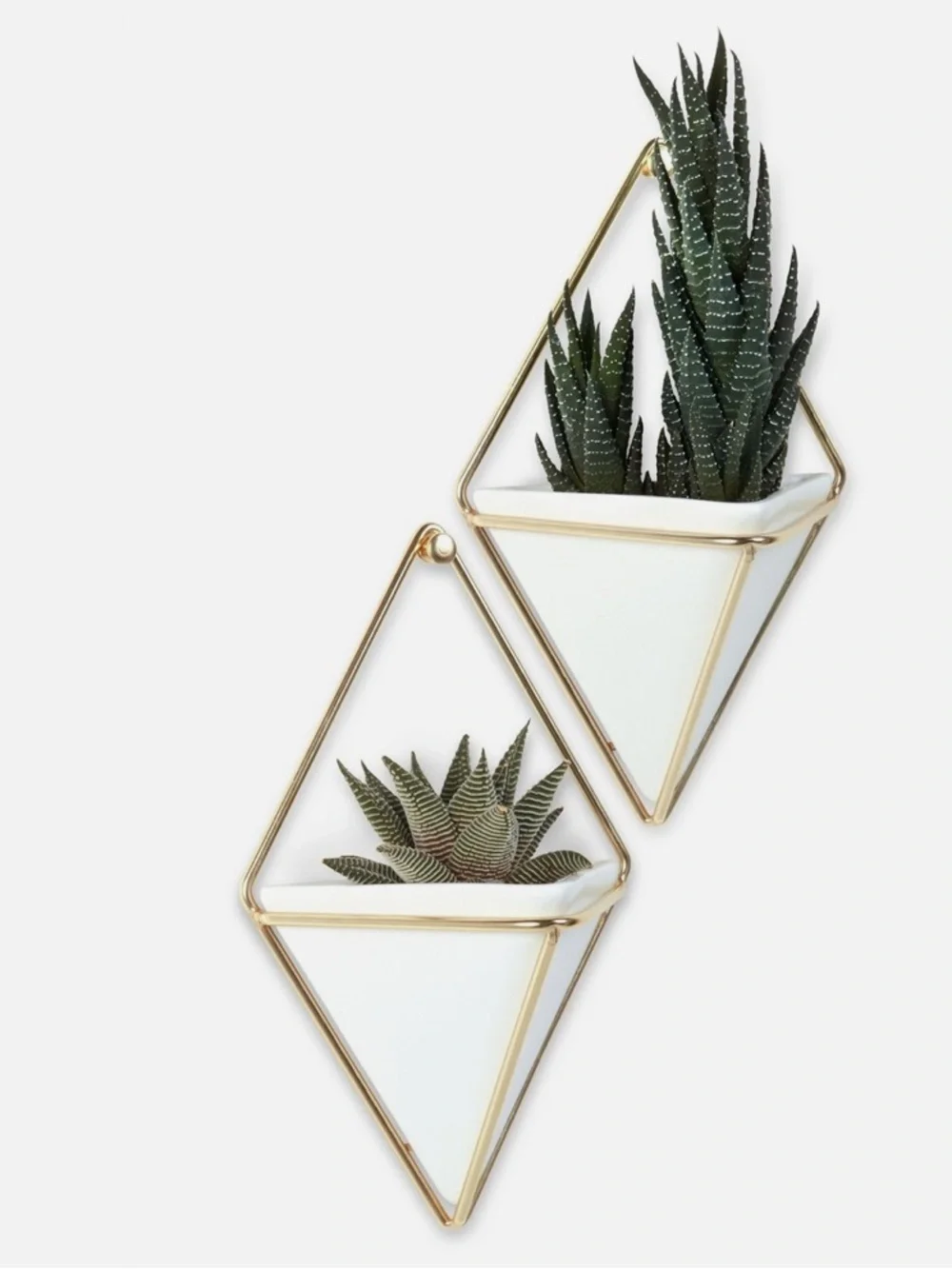 Hardly Used: Umbra 262800 Trigg Hanging Planter & Geometric Wall Decor Set of 4